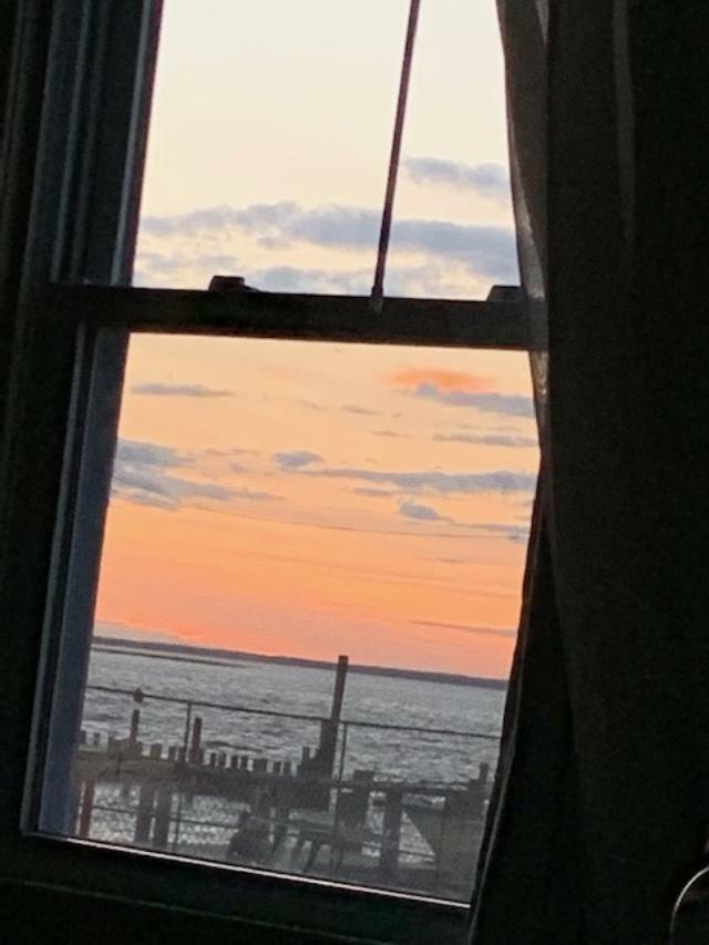 Clegg'S Hotel Ocean Beach Exteriör bild